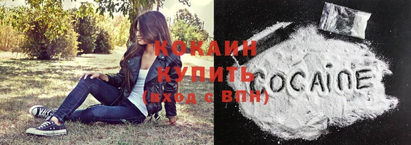 стафф Няндома