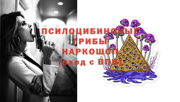 MDMA Premium VHQ Нязепетровск